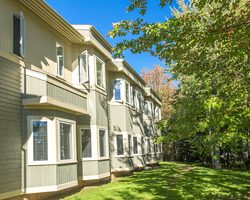 Viewing Camden Park Terrace backyard showing it well surrounded by leafy green trees.